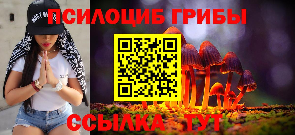 Галлюциногенные грибы Psilocybe  Вход с VPN  Галлюциногенные грибы мицелий  Карталы 
